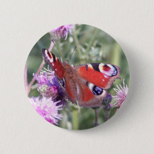 Bóton Redondo 5.08cm Borboleta Pavão ao Sol de Verão