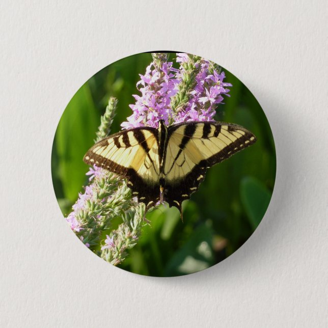 Bóton Redondo 5.08cm Borboleta Rabo de Andorinha em Flores Silvestres R (Frente)