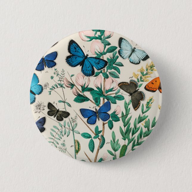 Bóton Redondo 5.08cm Borboletas E Mães William Forsell Kirby 1882 (Frente)