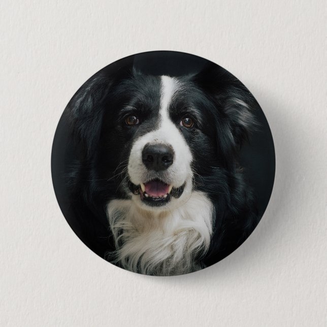 Bóton Redondo 5.08cm border collie (Frente)