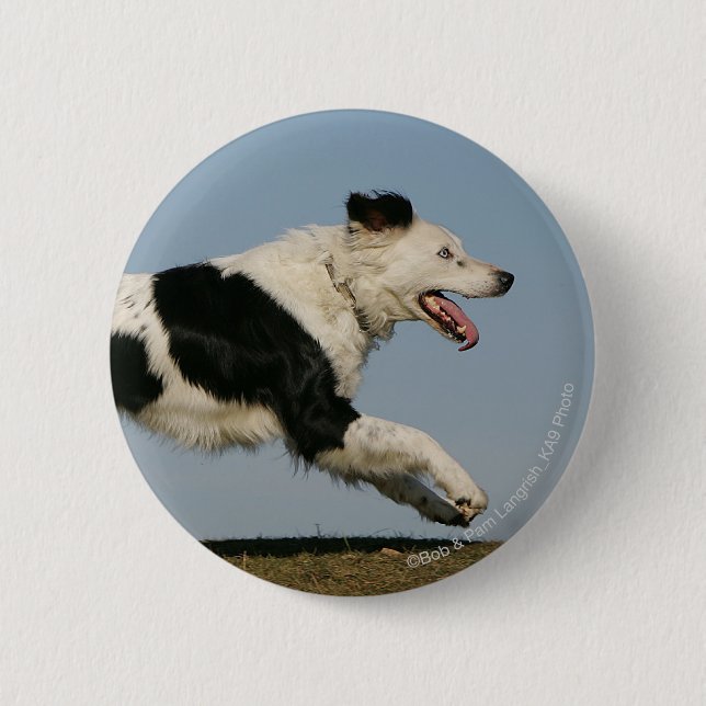 Bóton Redondo 5.08cm Border collie que funciona 2 (Frente)