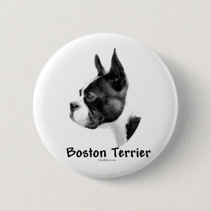 Bóton Redondo 5.08cm Boston Terrier Charcar 2 - Botão