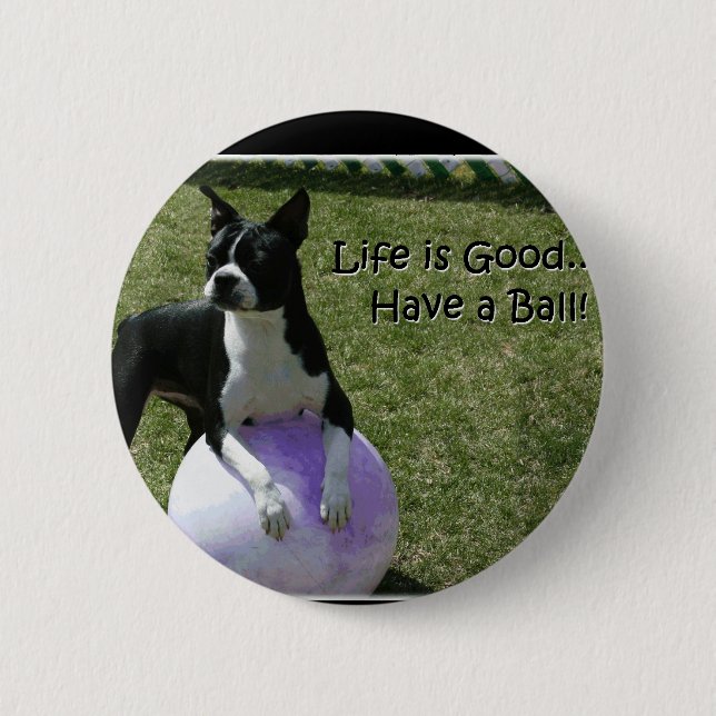 Bóton Redondo 5.08cm Boston Terrier:  Tenha uma bola! (Frente)