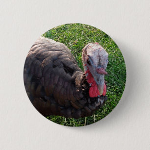 Bóton Redondo 5.08cm Botão 1 dos acres de Wedrose