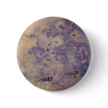 Botão Abelhas do Espaço