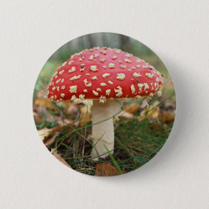 Bóton Redondo 5.08cm Botão Agárico de Voo Vermelho