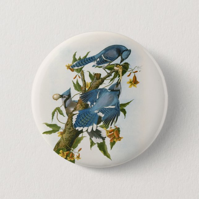 Bóton Redondo 5.08cm Botão Blue Jay (Frente)