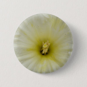 Bóton Redondo 5.08cm Botão bonito Pale Daffodil