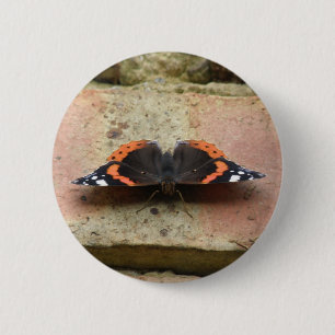 Bóton Redondo 5.08cm Botão Borboleta do Almirante Vermelho