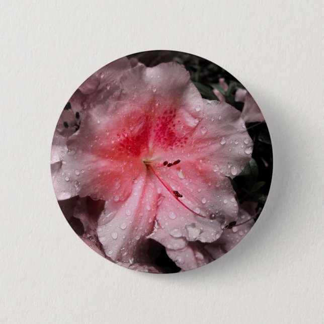 Bóton Redondo 5.08cm Botão Brilho Interior (Frente)