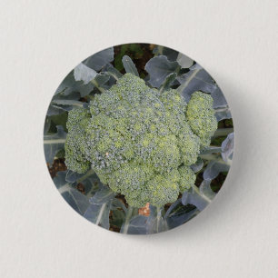 Bóton Redondo 5.08cm Botão Broccoli