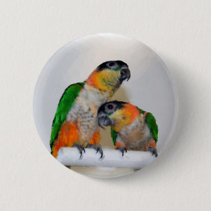 Bóton Redondo 5.08cm Botão colorido dos pares do papagaio do Caique
