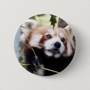 Bóton Redondo 5.08cm Botão da cara da panda vermelha