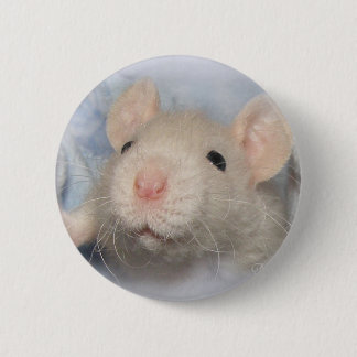 Bóton Redondo 5.08cm Botão da doçura