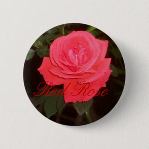 Bóton Redondo 5.08cm Botão da rosa vermelha