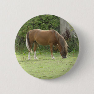 Bóton Redondo 5.08cm Botão de Aluguer de Cavalo Castanho