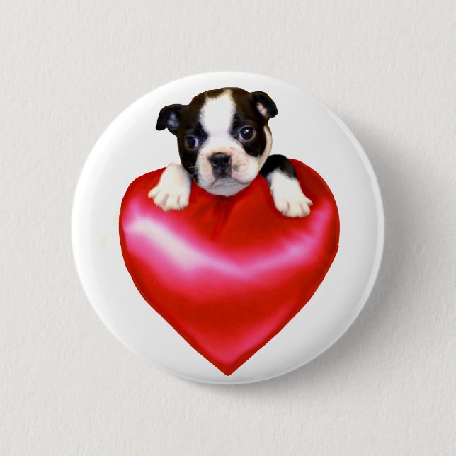 Bóton Redondo 5.08cm Botão de Boston Terrier do amor (Frente)