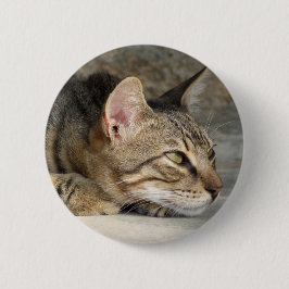 Bóton Redondo 5.08cm Botão de Gato de Tabby