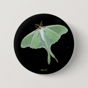 Bóton Redondo 5.08cm Botão de Insetos Luna Moth