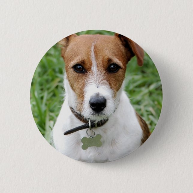 Bóton Redondo 5.08cm Botão de Jack Russell Terrier (Frente)