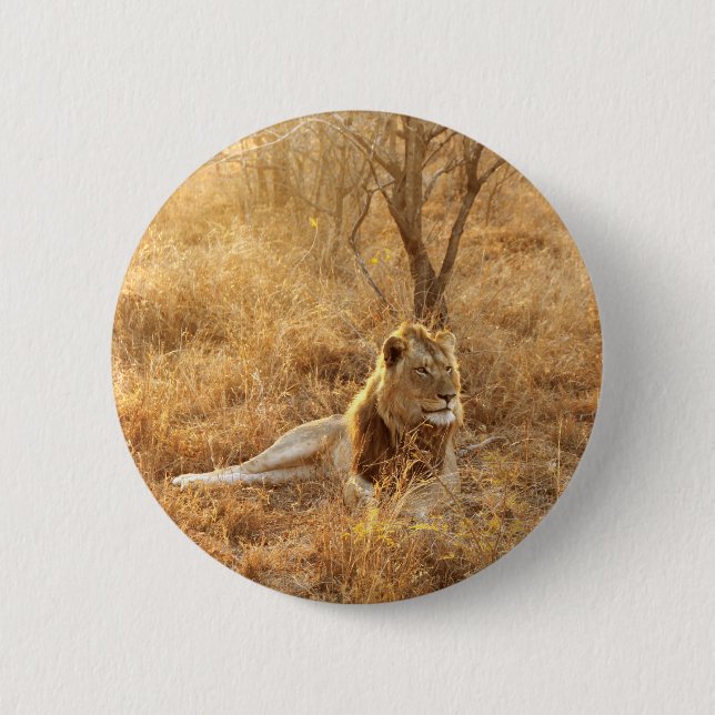 Bóton Redondo 5.08cm Botão de Leão (Frente)