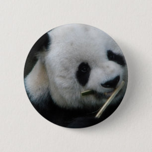 Bóton Redondo 5.08cm Botão de Panda Fofo – Broche de Panda Kawaii
