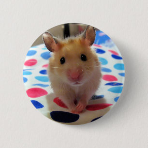 Bóton Redondo 5.08cm Botão de Pinback do hamster
