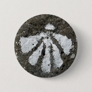 Bóton Redondo 5.08cm Botão de Shell do Scallop