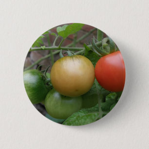 Bóton Redondo 5.08cm Botão de tomate leve de trânsito