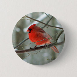 Bóton Redondo 5.08cm Botão de Vida Selvagem do Cardeal Vermelho (Homem)