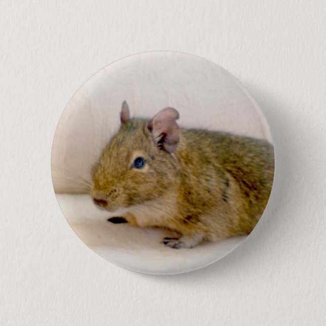 Bóton Redondo 5.08cm Botão Degu (Frente)
