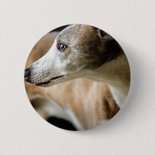 Bóton Redondo 5.08cm Botão do cão do galgo