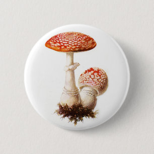 Bóton Redondo 5.08cm Botão do cogumelo do amanita