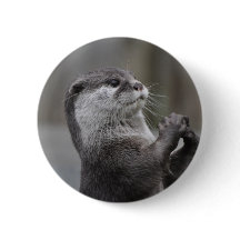 Botão do espírito superior da lontra