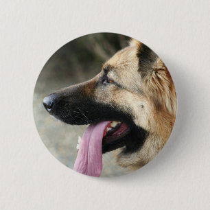 Bóton Redondo 5.08cm Botão do german shepherd