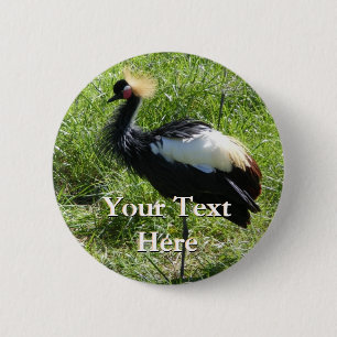 Bóton Redondo 5.08cm Botão do guindaste da cinza