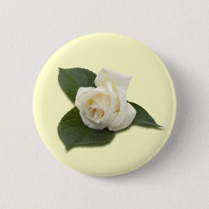Bóton Redondo 5.08cm Botão do rosa branco