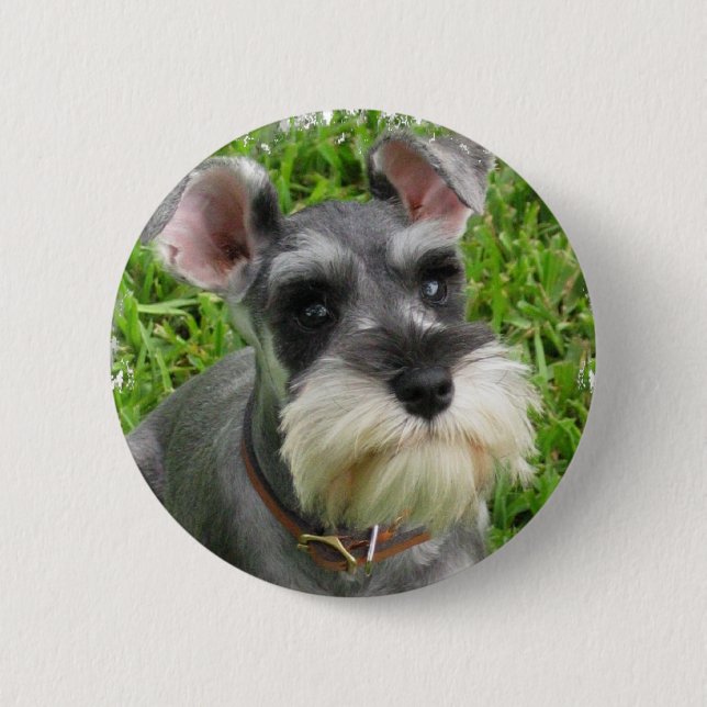 Bóton Redondo 5.08cm Botão do Schnauzer diminuto (Frente)