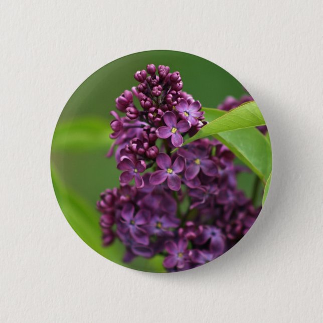 Bóton Redondo 5.08cm Botão Lilac Roxo (Frente)