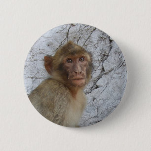 Bóton Redondo 5.08cm Botão Macaco Gibraltar