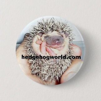 Bóton Redondo 5.08cm botão minúsculo da bola do bebê