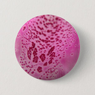 Bóton Redondo 5.08cm Botão Petal Rosa Foxglove