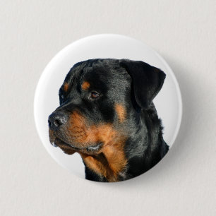 Bóton Redondo 5.08cm Botão Pin de Cachorro Preto e Marrom do Rottweile