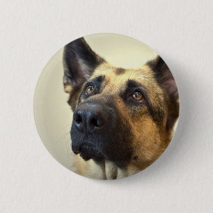 Bóton Redondo 5.08cm Botão redondo da imagem do german shepherd