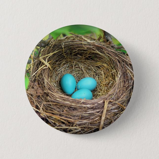 Bóton Redondo 5.08cm Botão Robin Blue Eggs (Frente)