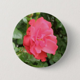 Bóton Redondo 5.08cm Botão Rosa Selvagem