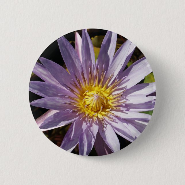 Bóton Redondo 5.08cm Botão roxo do lírio de água (Frente)