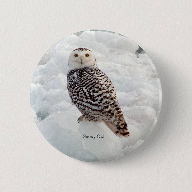 Bóton Redondo 5.08cm Botão Snowy Owl (Frente)