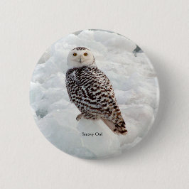 Bóton Redondo 5.08cm Botão Snowy Owl
