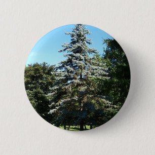 Bóton Redondo 5.08cm Botão Spruce azul